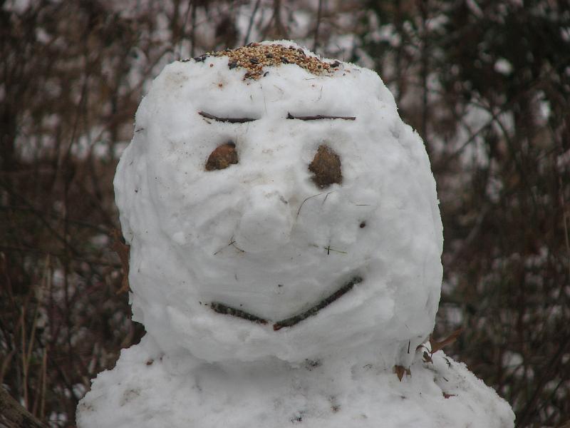 2008-12-07_First_Snow_2nd_set 014.jpg